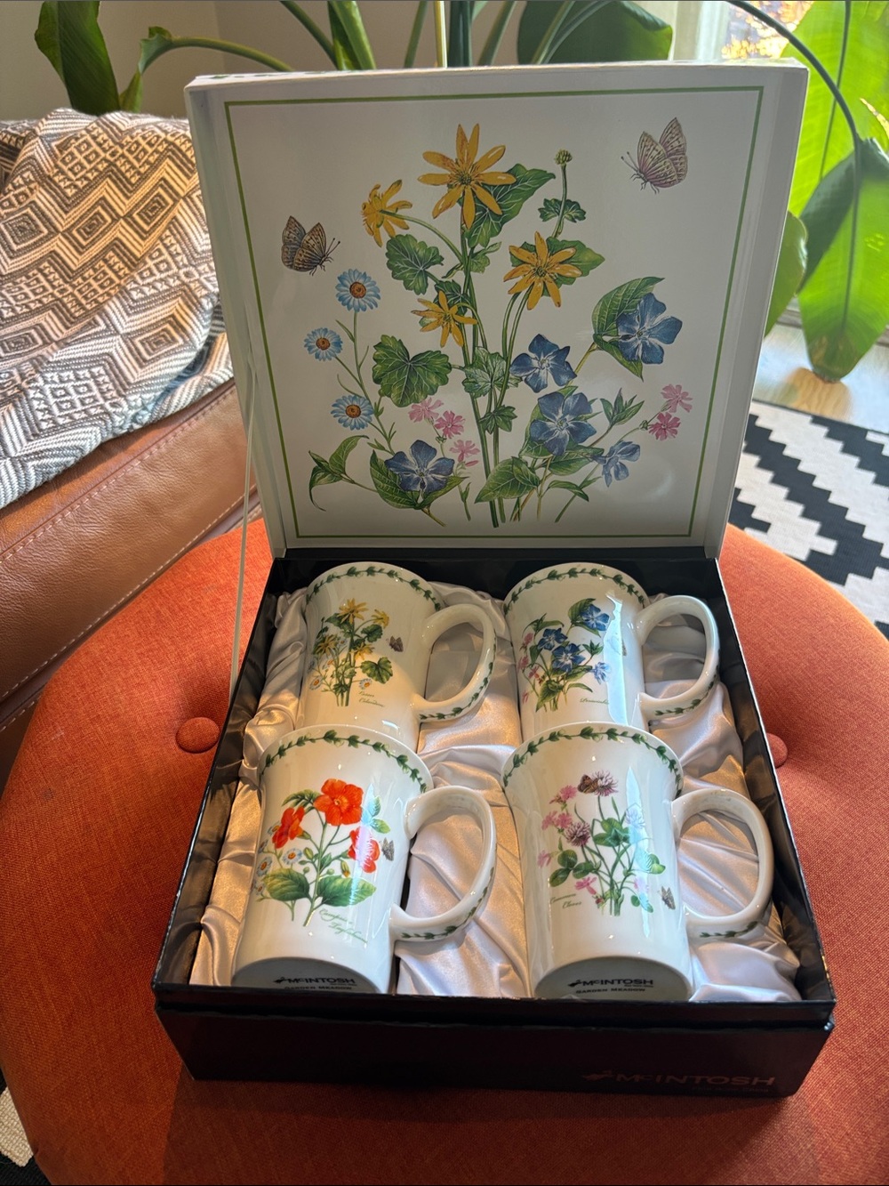 McIntosh Fine Bone China Mug Set Brand New